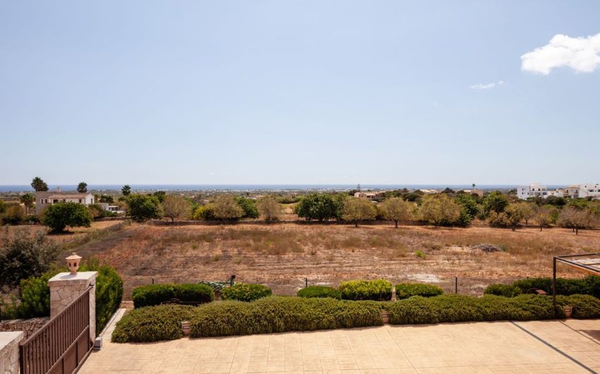 View from the house