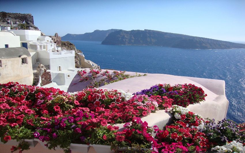 Santorini views with flowers