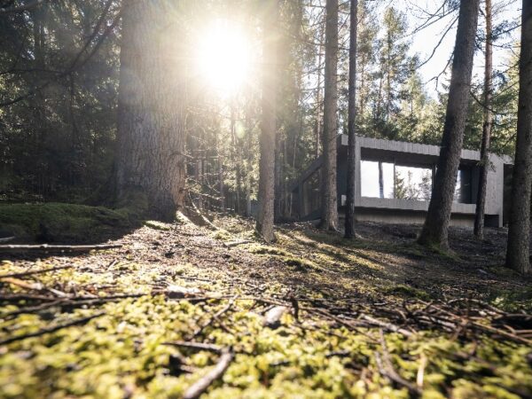 The South Tyrolean Family Hideaway forest view