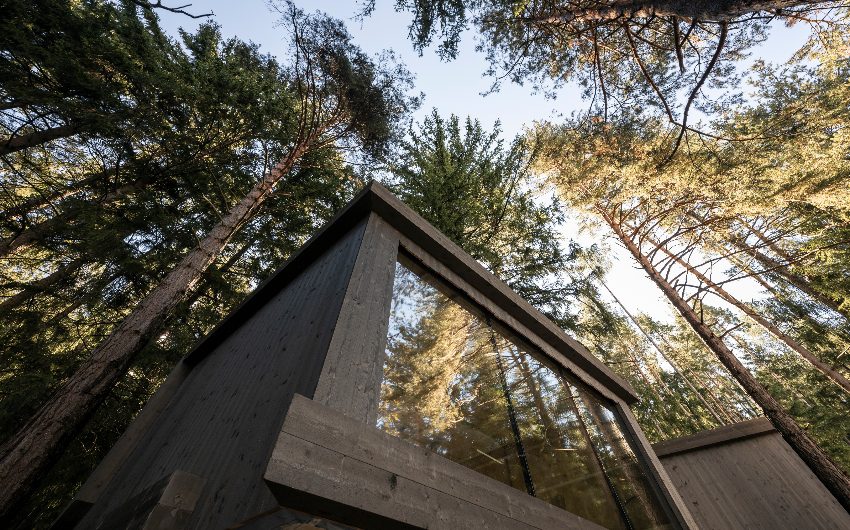 The South Tyrolean Family Hideaway exterior view in the woods