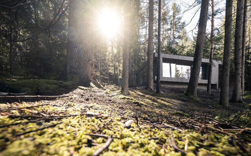 The South Tyrolean Family Hideaway forest view