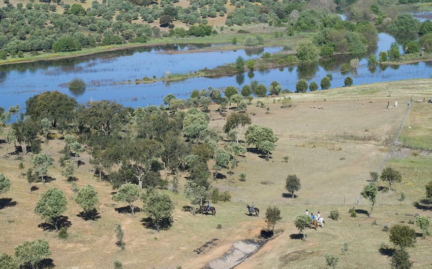 Landscape of the Alentejo region in Portugal