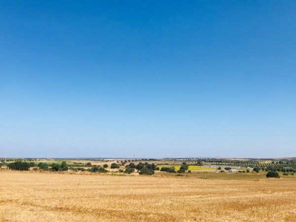 Landscape of the Alentejo region in Portugal