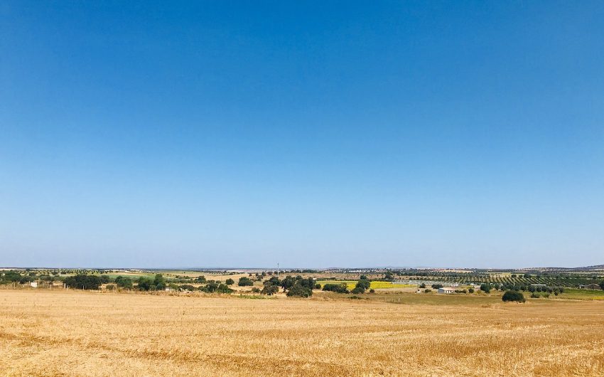 Landscape of the Alentejo region in Portugal