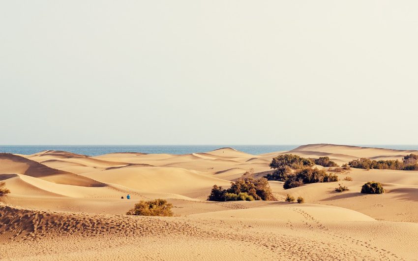 Dunes in Gran Canaria