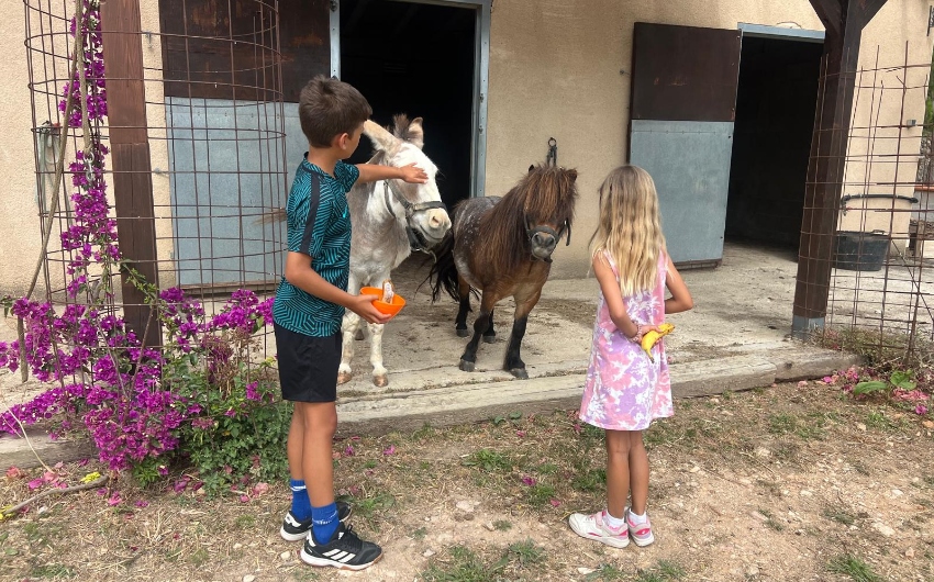 Kids feeding horse and donkey at The Costa Blanca Family Retreat