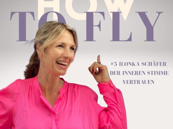 The Little Voyager featured on the How to Fly Podcast